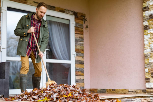 Best Electronics Removal Services  in Blennerhassett, WV
